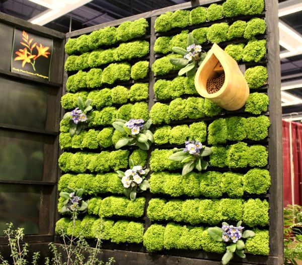 Proyectos geniales de pared de vida verde bricolaje para su hogar