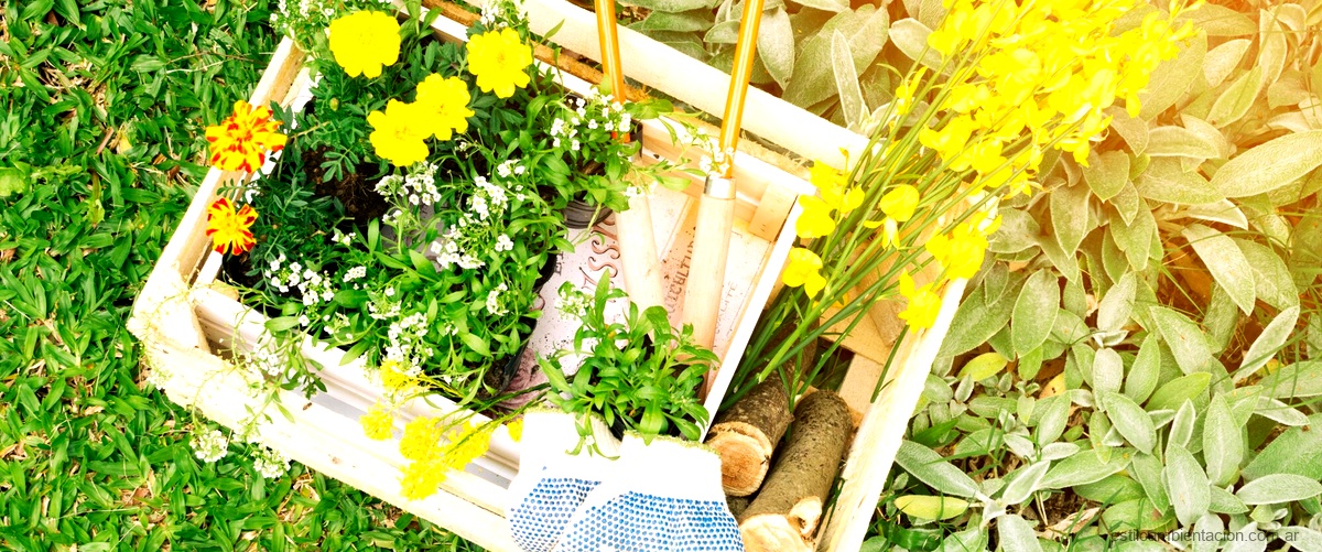 Cajas de madera en la decoración de jardines: opciones creativas y sostenibles