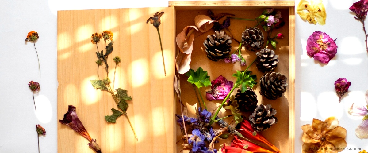Cajas decorativas pequeñas: una opción económica y versátil para dar vida a tus espacios