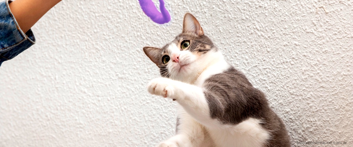 ¿Cómo se llama el hilo para hacer un rascador para gatos?