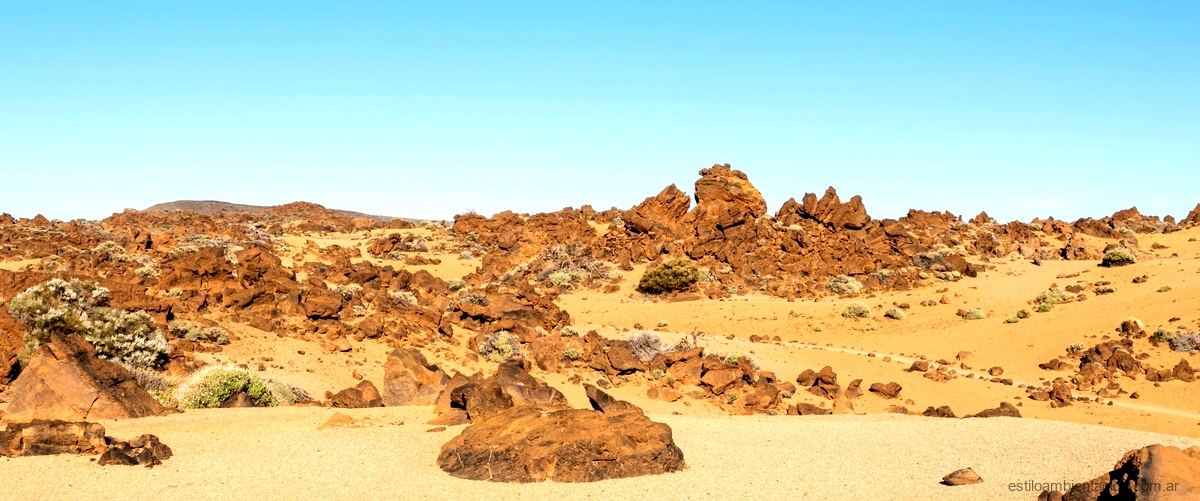 ¿Qué caracteriza al desierto de Gobi?